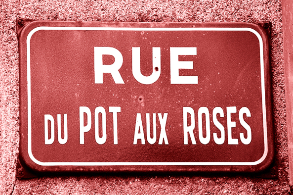 Le Pot aux Roses de la semaine est arrivé ! Le Pot aux Roses de la semaine est arrivé !