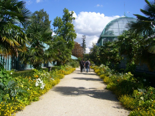 Serres d'Auteuil : Stupidalgo de nouveau suspendue ! Serres d'Auteuil : Stupidalgo de nouveau suspendue !