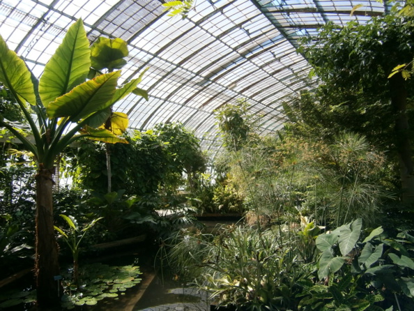 Un vrai maquis juridique ! Un vrai maquis juridique !