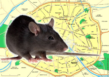 Hidalgo rat ce gratis ! Hidalgo rat ce gratis !
