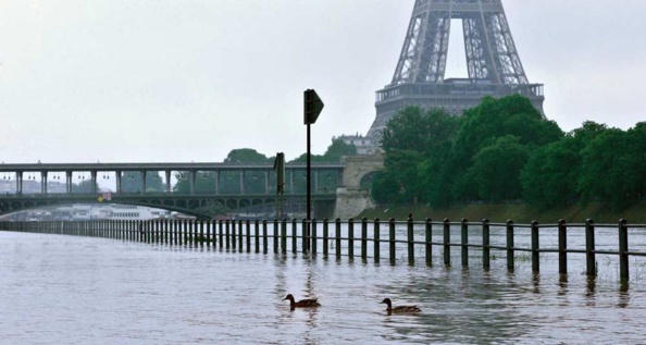Faut pas prendre les automobilistes parisiens pour des canards sauvages !