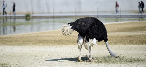 Voir plus loin Voir plus loin