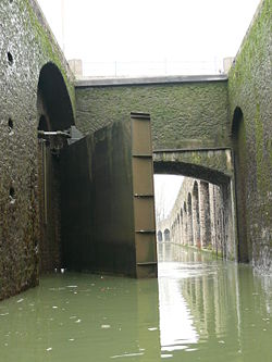 Canal Saint Denis : massacre à la tronçonneuse !