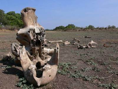 Devinette : de quel cimetière s'agit-il ?