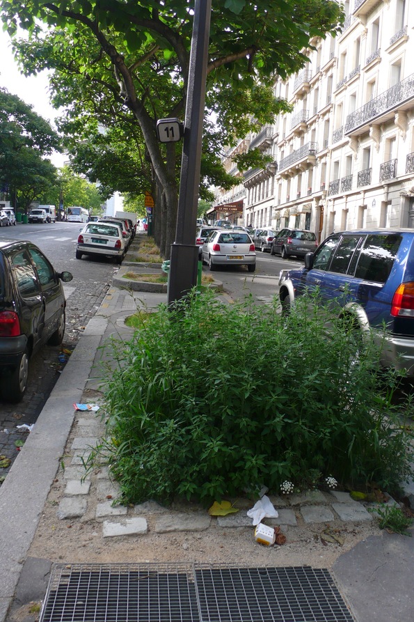Paris plonge ... 3 Paris plonge ... 3