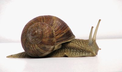 Perte de vitesse Perte de vitesse