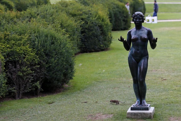 Une tuile aux Tuileries Une tuile aux Tuileries