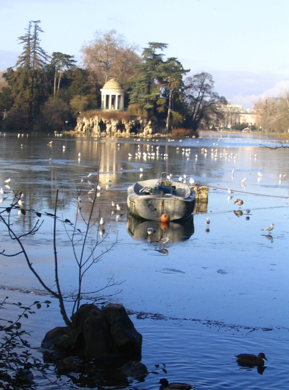 Bois de Vincennes : Hidalgo disparaît dans le lac !