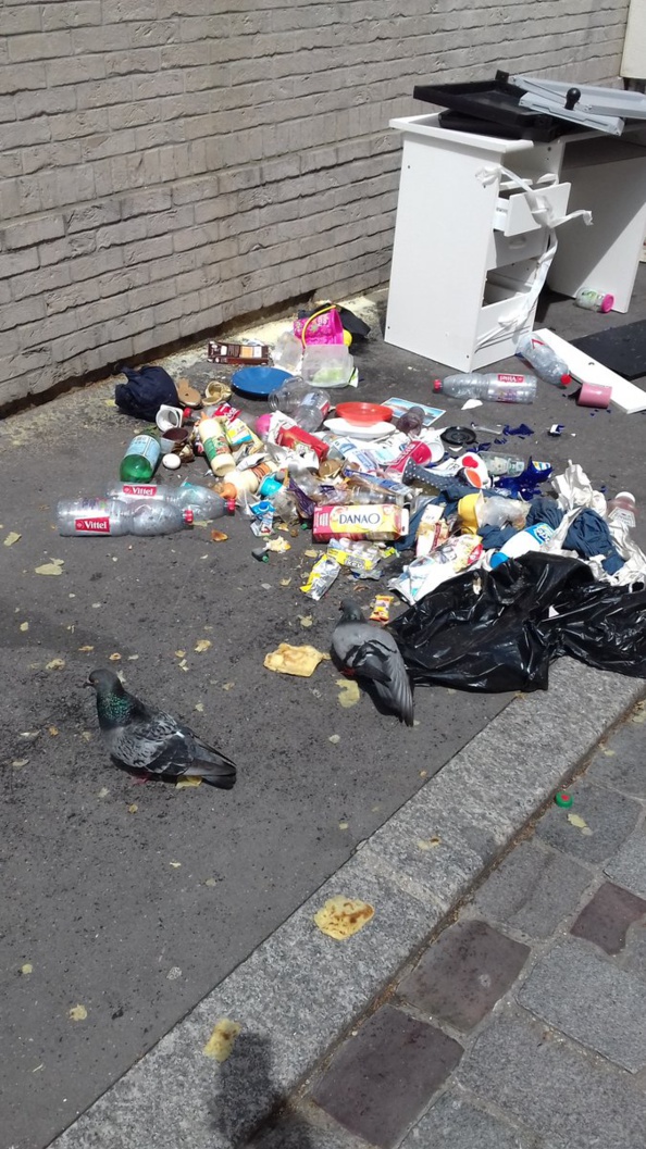 Cradalgo est partout ! Cradalgo est partout !