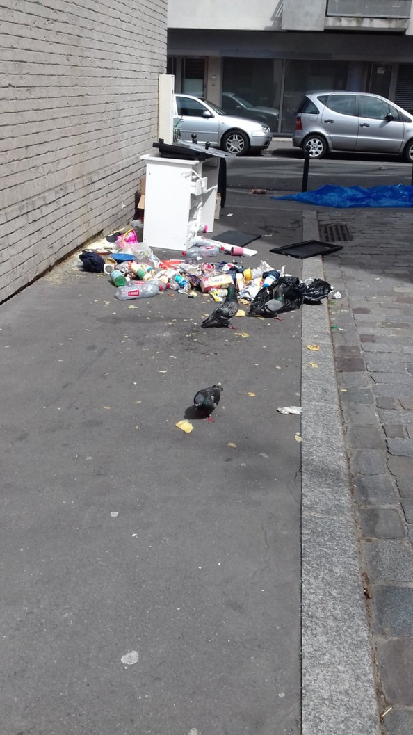 Cradalgo est partout ! Cradalgo est partout !