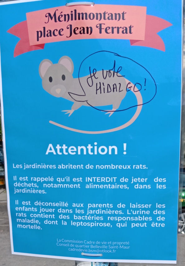 Hidalgo ratatinée ! Hidalgo ratatinée !