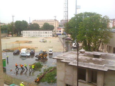 Jean Bouin : de nouvelles images exclusives du massacre des arbres parisiens ! Jean Bouin : de nouvelles images exclusives du massacre des arbres parisiens !