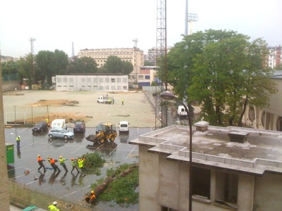 Jean Bouin : de nouvelles images exclusives du massacre des arbres parisiens !