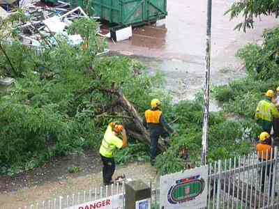 Jean Bouin : de nouvelles images exclusives du massacre des arbres parisiens !