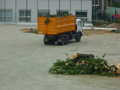 Jean Bouin : de nouvelles images exclusives du massacre des arbres parisiens !