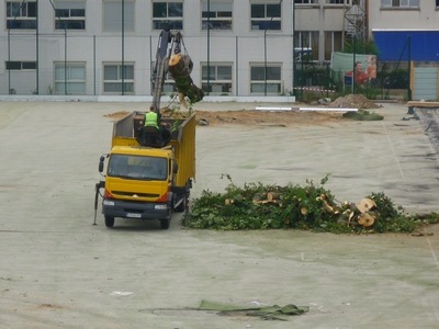 Jean Bouin : de nouvelles images exclusives du massacre des arbres parisiens ! Jean Bouin : de nouvelles images exclusives du massacre des arbres parisiens !