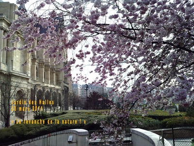 Pleure ô Japon bien aimé ... Pleure ô Japon bien aimé ...