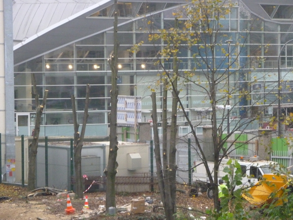 Arbres de Jean Bouin : encore des suppliciés pour rien ! Arbres de Jean Bouin : encore des suppliciés pour rien !