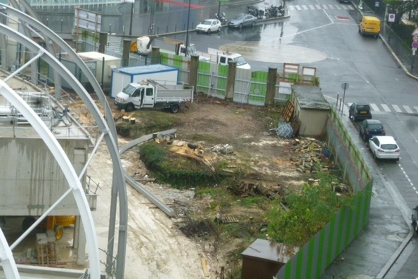 Jean Bouin : le dernier jour des arbres condamnés !