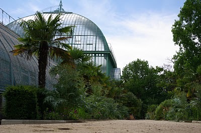 Serres d'Auteuil, le coup fourré de l'été ne passe décidément pas inaperçu !