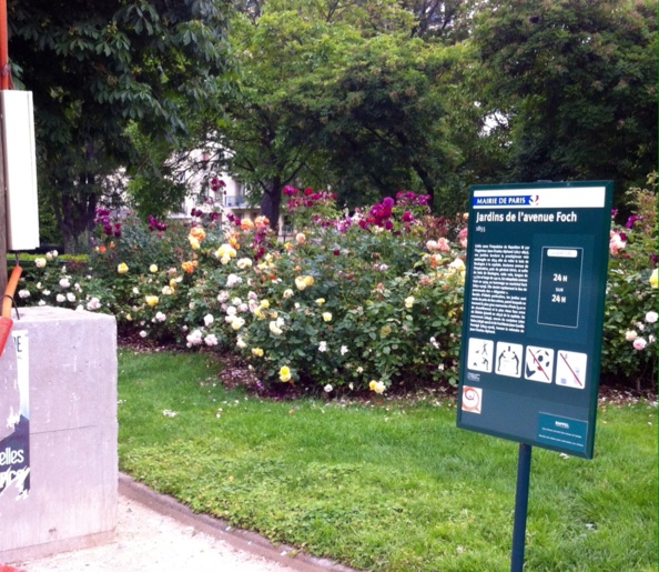 Un nouvelle photo-énigme du Delanopolis ! Un nouvelle photo-énigme du Delanopolis !