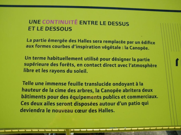 Scand'halles : dernières nouvelles de la feuille translucide !