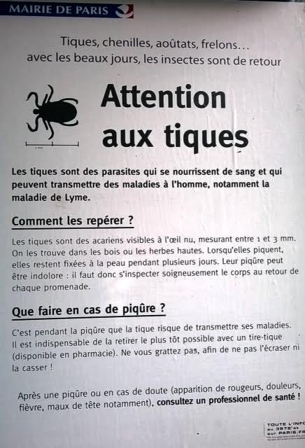 Poly-tiques chez les toc-tocs ! Poly-tiques chez les toc-tocs !