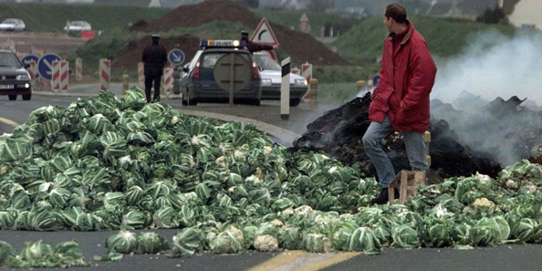 Moi y a n'a vouloir des choux ! Moi y a n'a vouloir des choux !