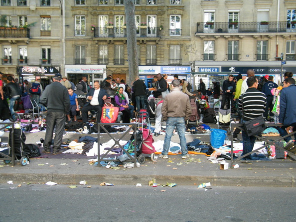 Hidalgocradopolis Hidalgocradopolis