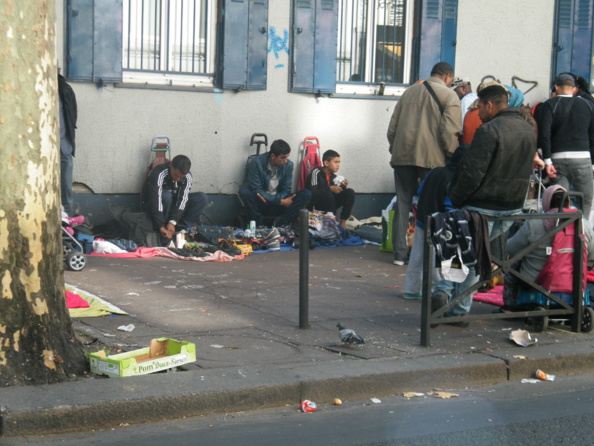 Hidalgocradopolis Hidalgocradopolis