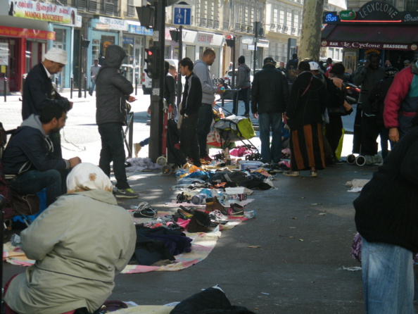 Hidalgocradopolis Hidalgocradopolis