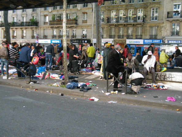 Hidalgocradopolis Hidalgocradopolis