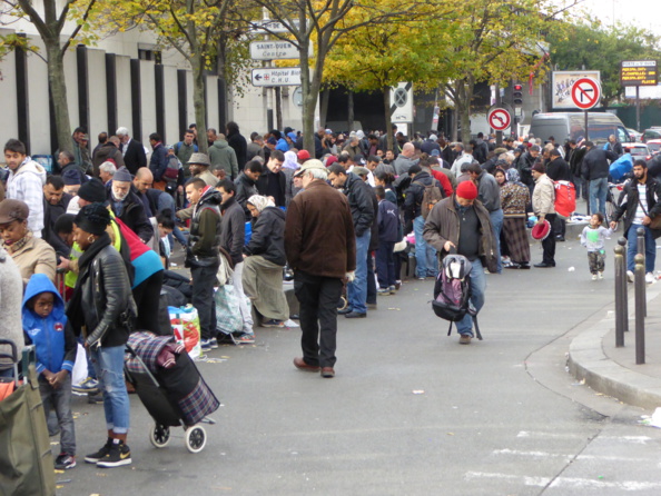 Hidalgocradopolis (2) Hidalgocradopolis (2)