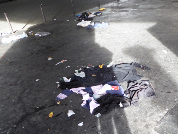 Hidalgocradopolis (2) Hidalgocradopolis (2)