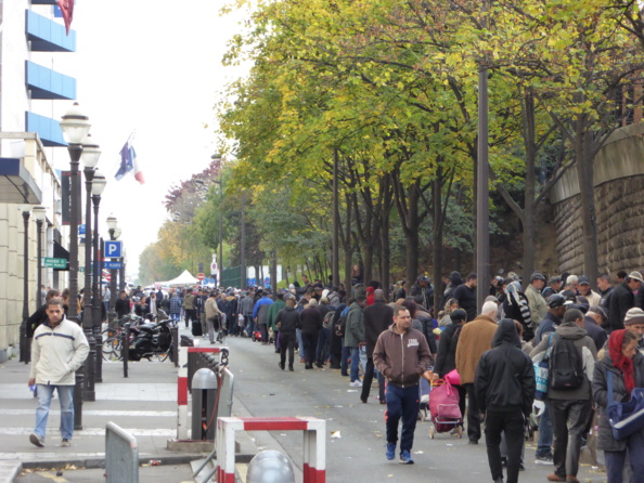 Hidalgocradopolis (2) Hidalgocradopolis (2)