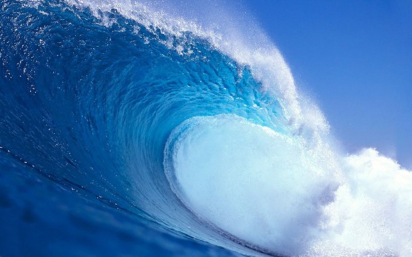 La France à la veille d'un raz-de-marée FN ? L'interview de Serge Federbusch par Atlantico La France à la veille d'un raz-de-marée FN ? L'interview de Serge Federbusch par Atlantico