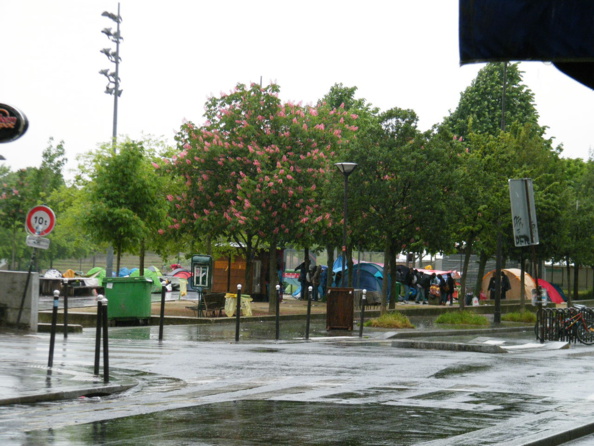 Stupidalgo ré-actionne la pompe à migrants ! Stupidalgo ré-actionne la pompe à migrants !