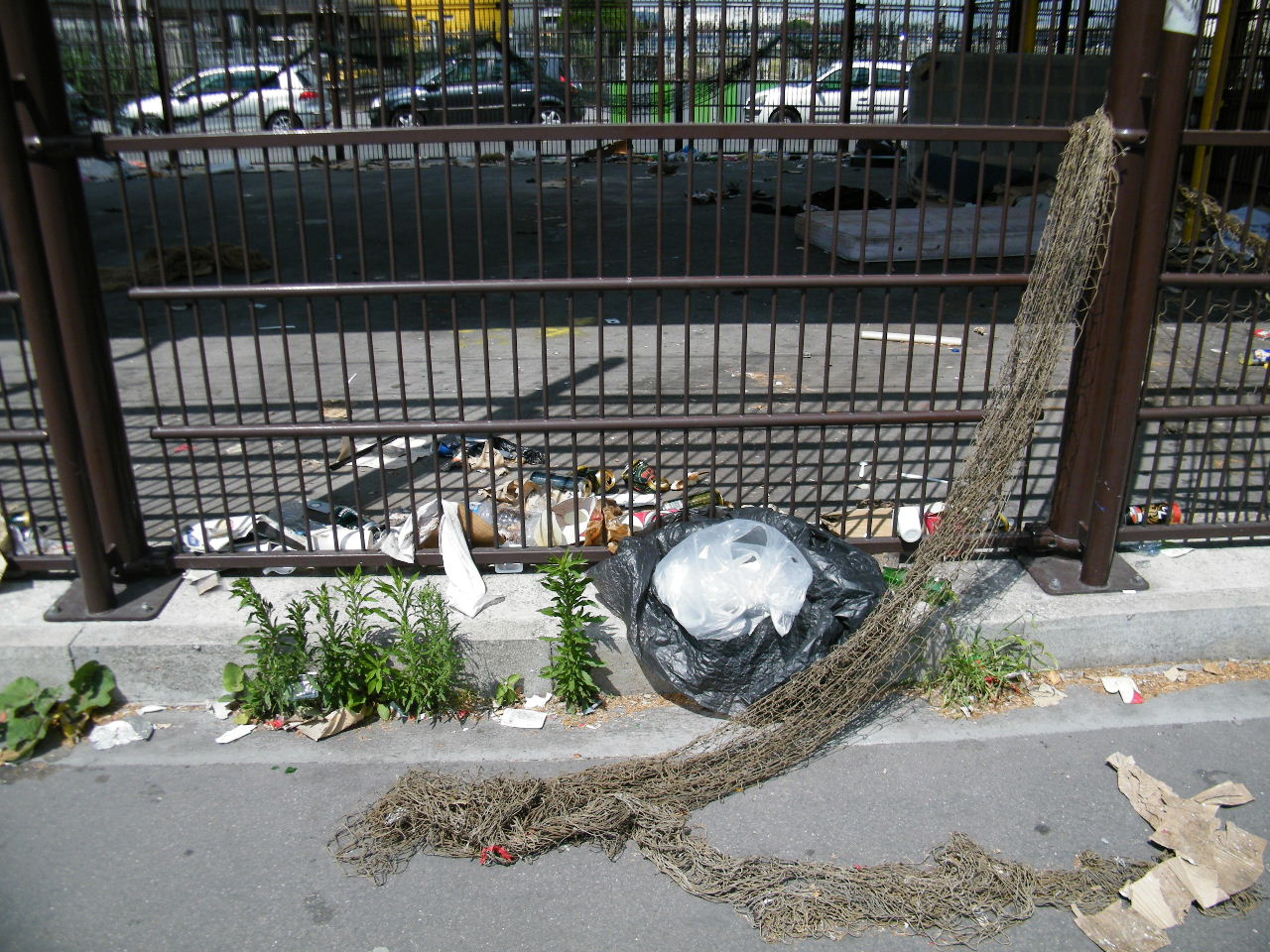 Pariscradopolis ! Pariscradopolis !