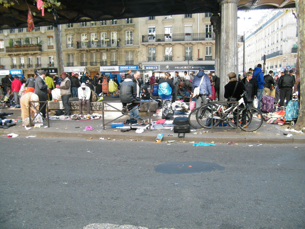 Hidalgocradopolis Hidalgocradopolis