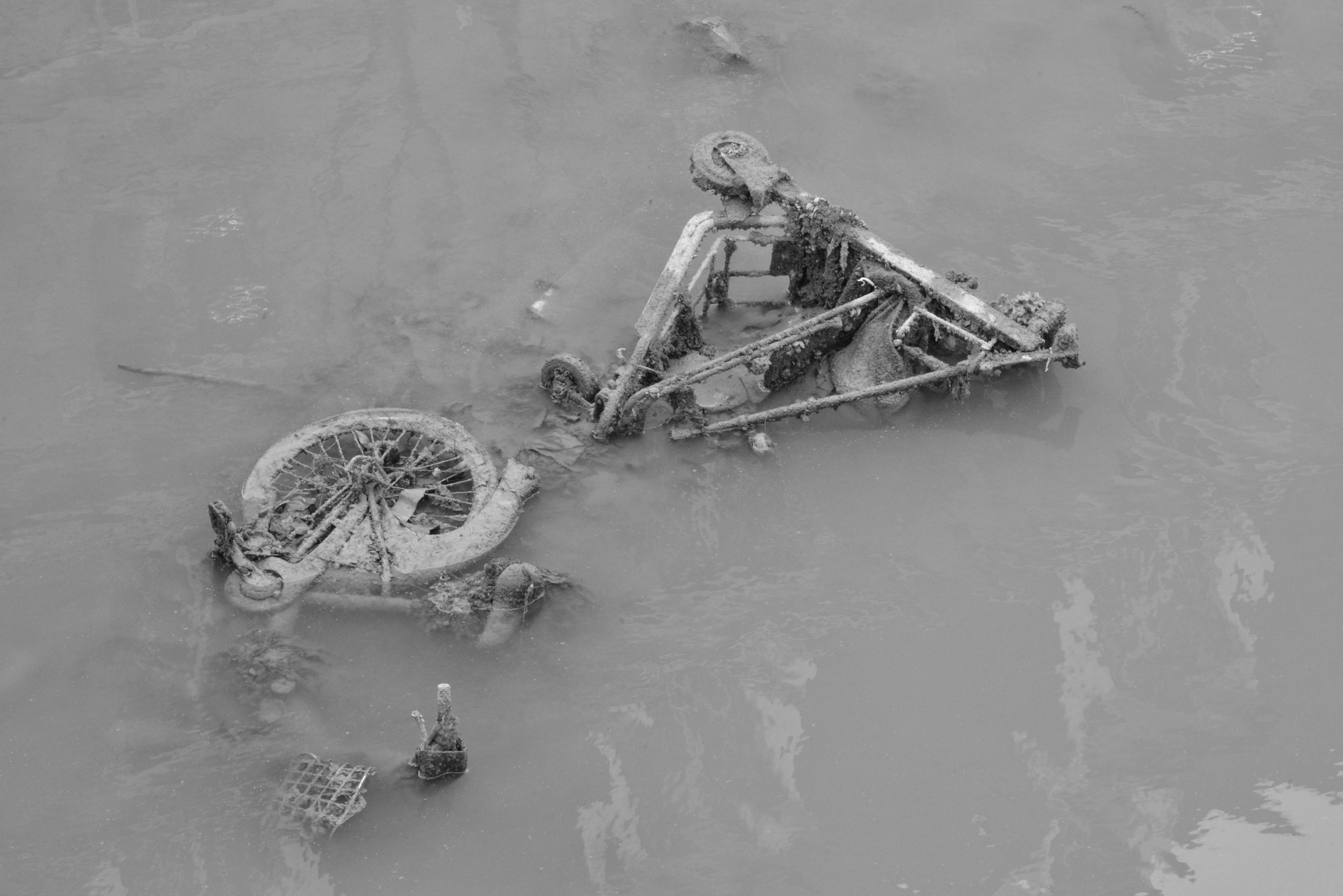 C'est une romance de Paris, au fond du Canal elle a fleuri ... C'est une romance de Paris, au fond du Canal elle a fleuri ...