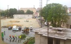 Jean Bouin : de nouvelles images exclusives du massacre des arbres parisiens ! Jean Bouin : de nouvelles images exclusives du massacre des arbres parisiens !