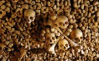 A Carnavalet on aime les champignons des catacombes !