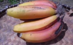 Pot de Bananes
