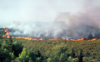 Comment combattre les incendies de forêt de l'été ? 