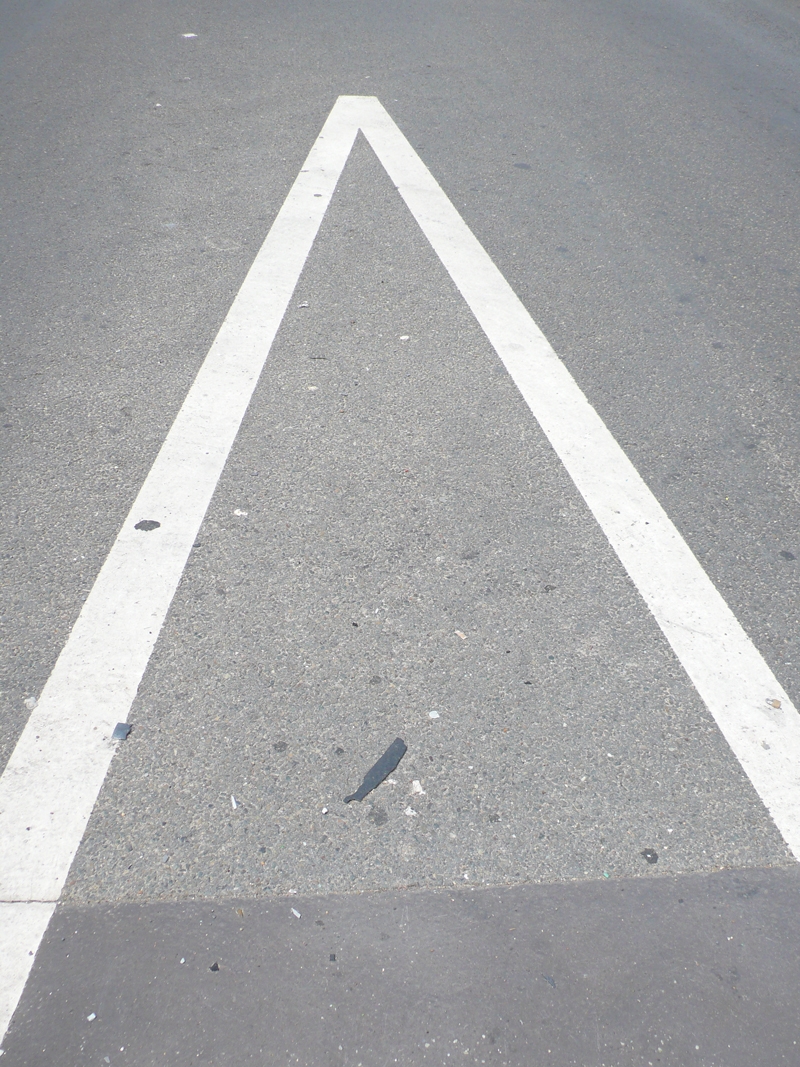 l'avenir du socialisme municipal l'avenir du socialisme municipal