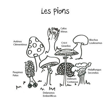 Présentation des pions Présentation des pions